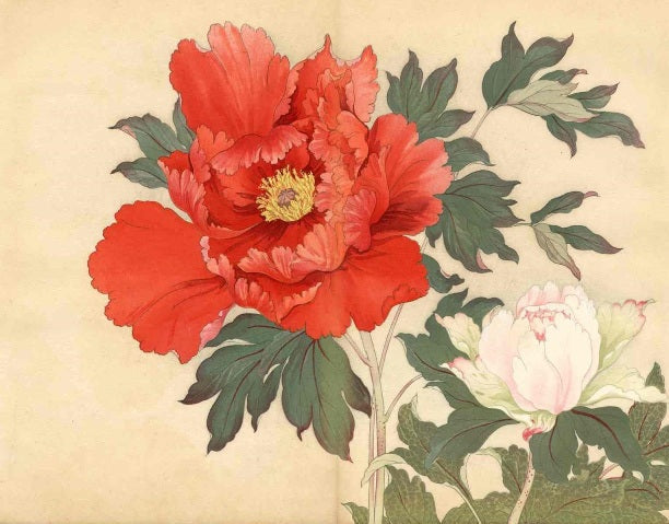 Extra large 1917 woodblock peony prints by Tanigami Konan, created for Japan's Imperial Exhibition, depicting peonies in bud and full flower