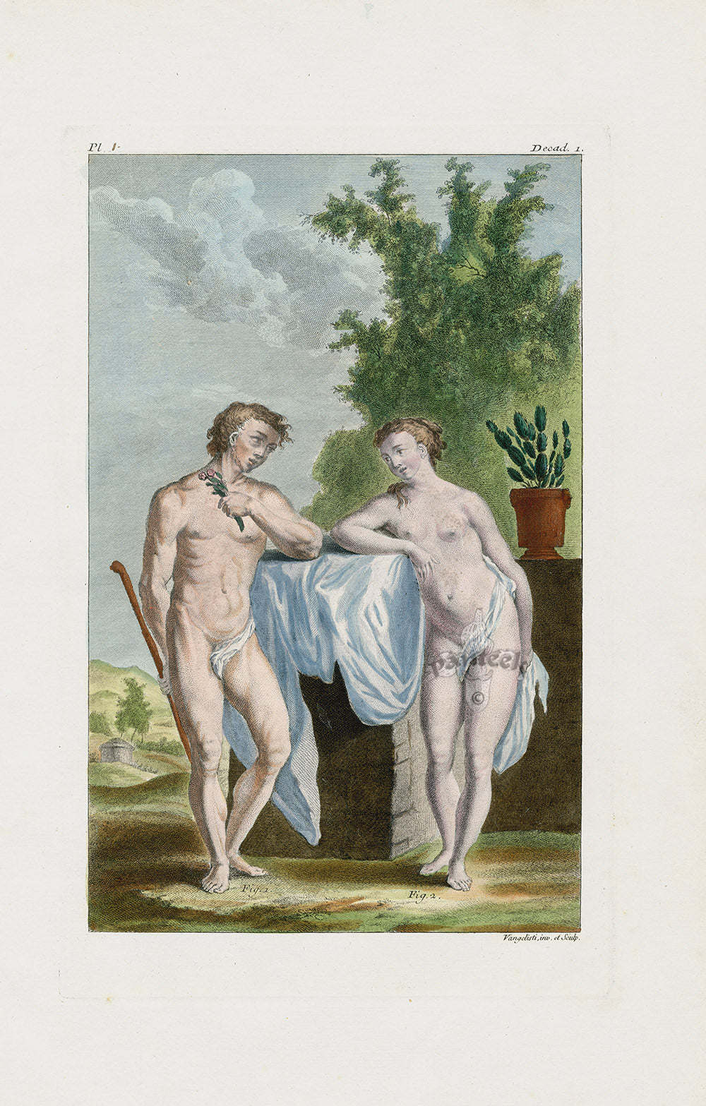 Rare original hand-colored copper engraving of exotic animals and nature from Buchoz's Les Dons Merveilleux, 1782