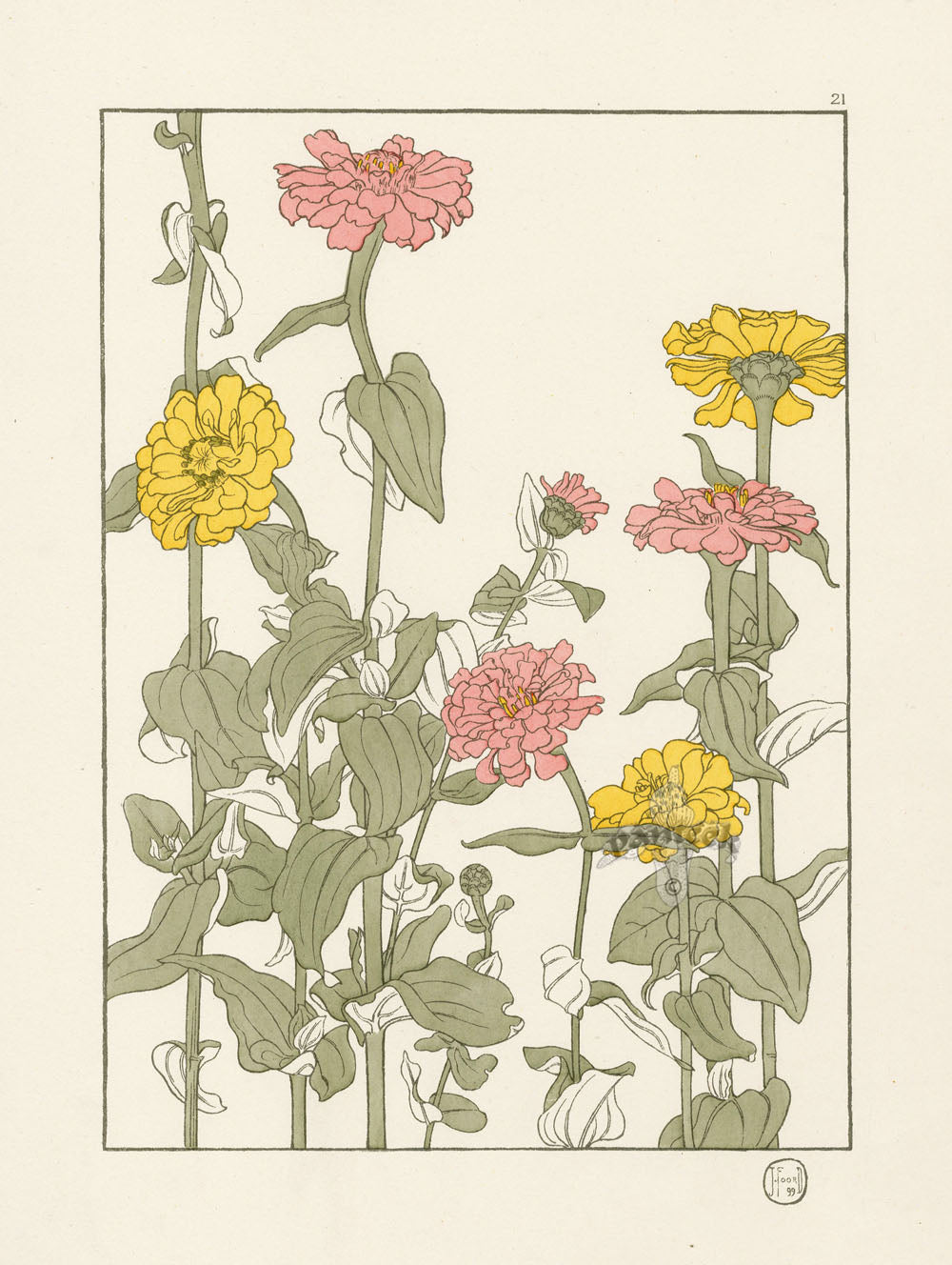 Rare pochoir flower study print by Jeannie Foord, 1901 — hand-applied color lithograph with Japanese woodblock influence, printed in Paris by E