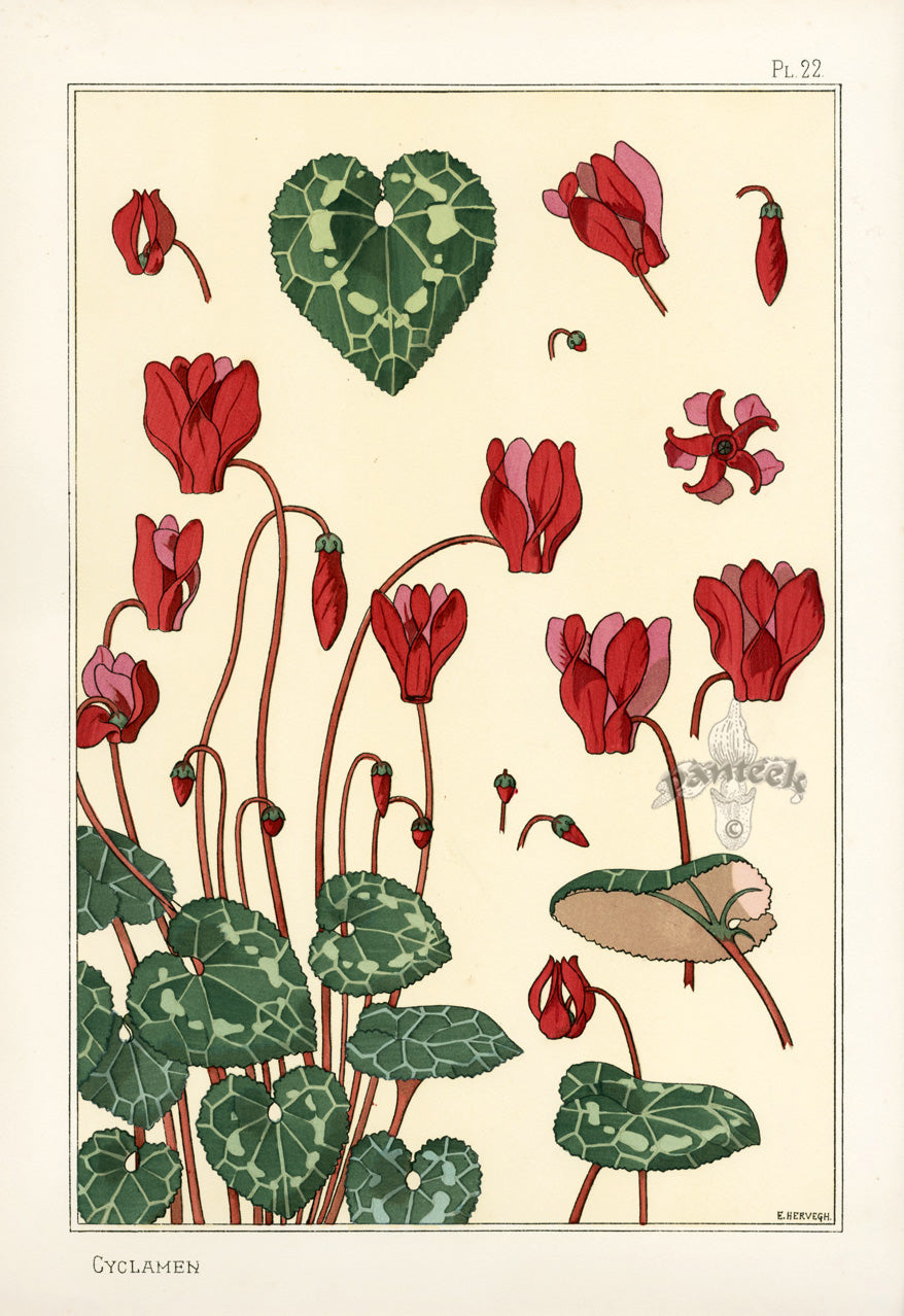 Eugene Grasset & Verneuil Pochoir Prints 1896 show highly decorative floral designs