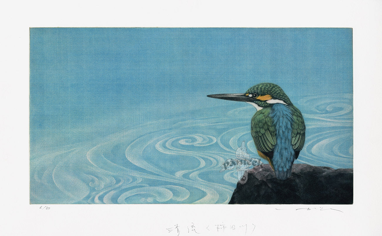 Mezzotint prints of Kingfishers by Japanese artist Tadashi Ikai, born Nagoya 1935, award-winning printmaker exhibited at CWAJ
