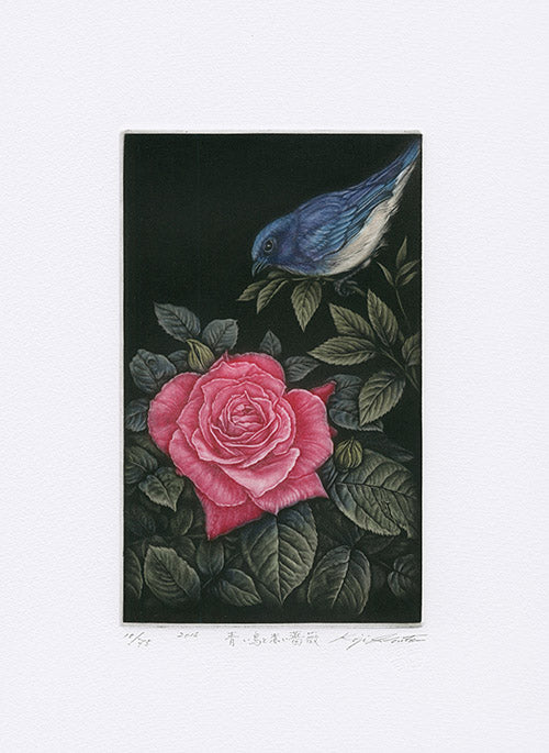 Original mezzotint print by Koji Ikuta — owl and bird copper plate print with embossed chop mark, from Panteek