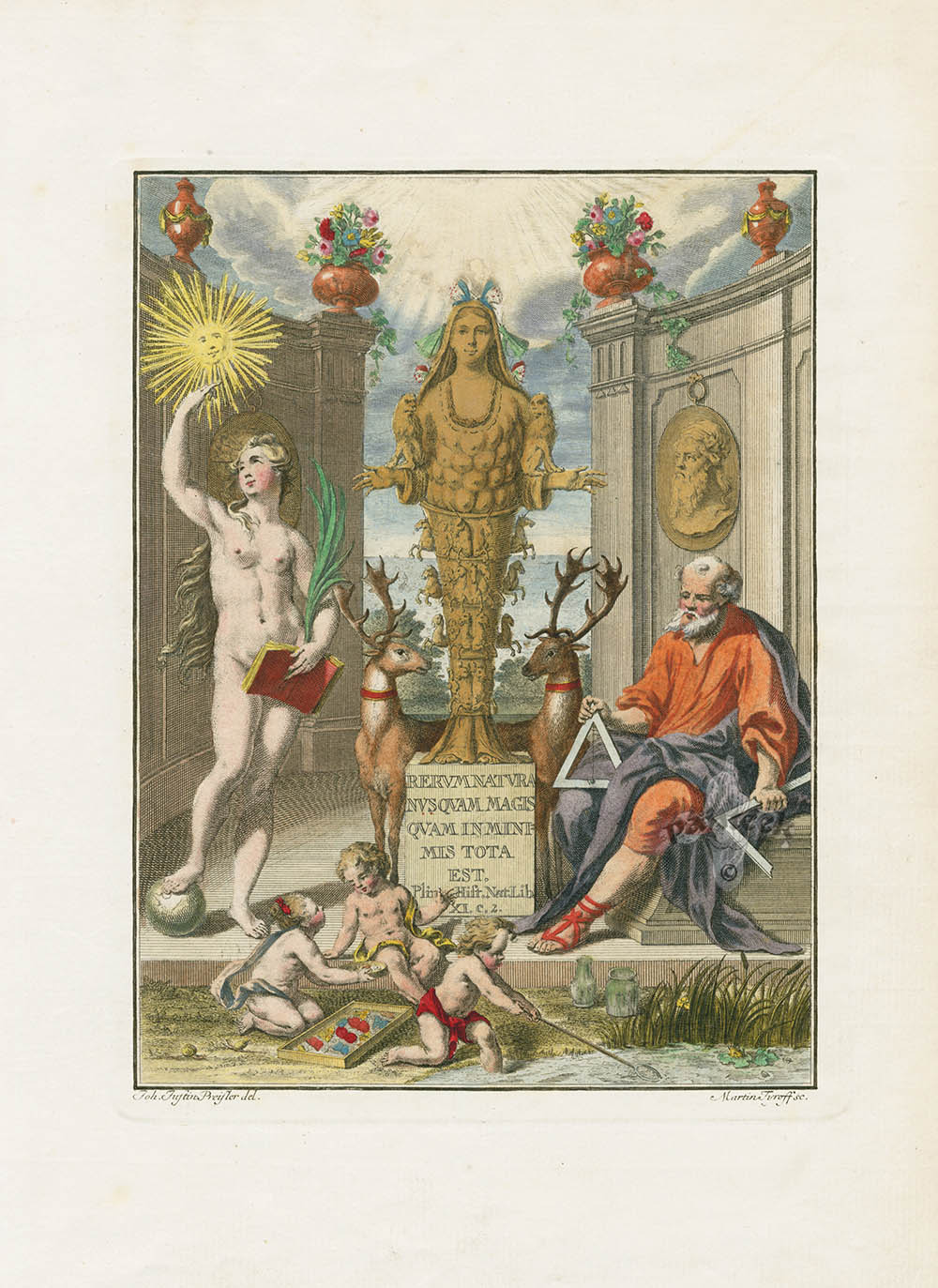 Antique hand-colored insect and butterfly engravings from Roesel von Rosenhof's Der Insecten Belustigung, 1740, on cream chain-lined paper