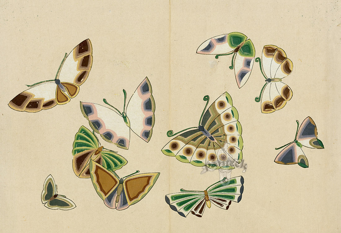Original Japanese woodblock print by Kamisaka Sekka — Rimpa school butterfly or floral composition, from Panteek