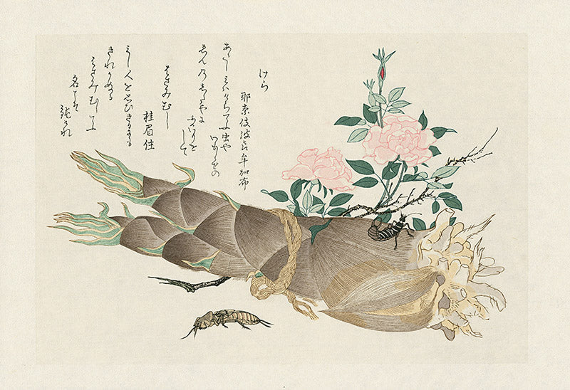 Oban size woodblock print from Kitagawa Utamaro's Insect Book 1788 — plant and insect composition with mica, from Panteek
