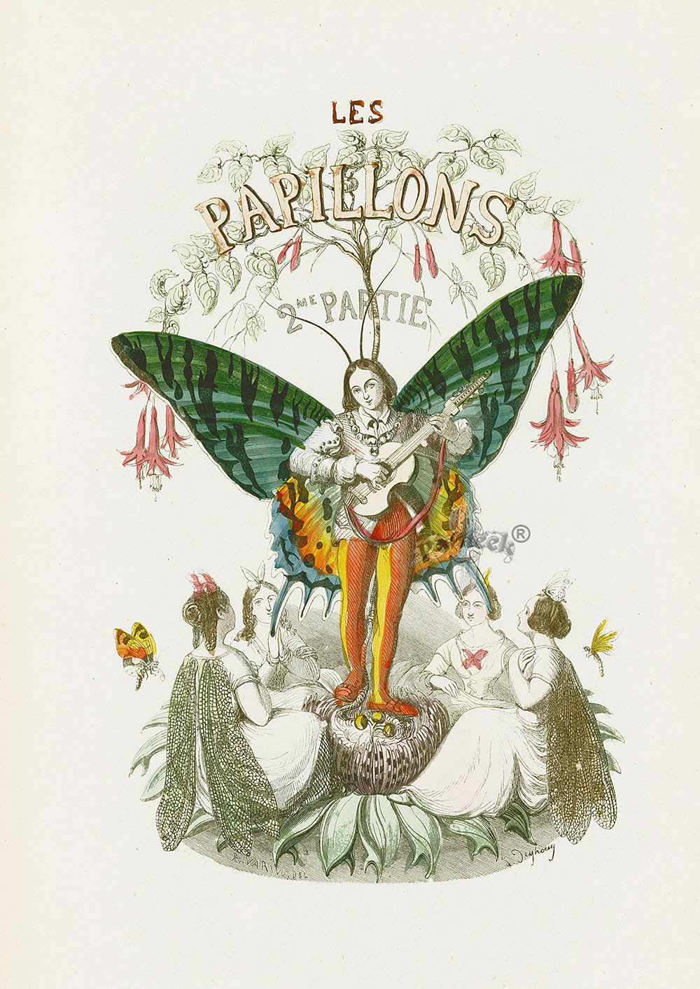 Original antique hand-colored butterfly print — entomological illustration from Panteek featuring works by Kayser, Donovan, and Albin