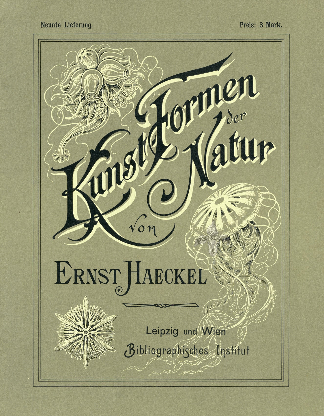 Ernst Haeckel Original Antique Title Page