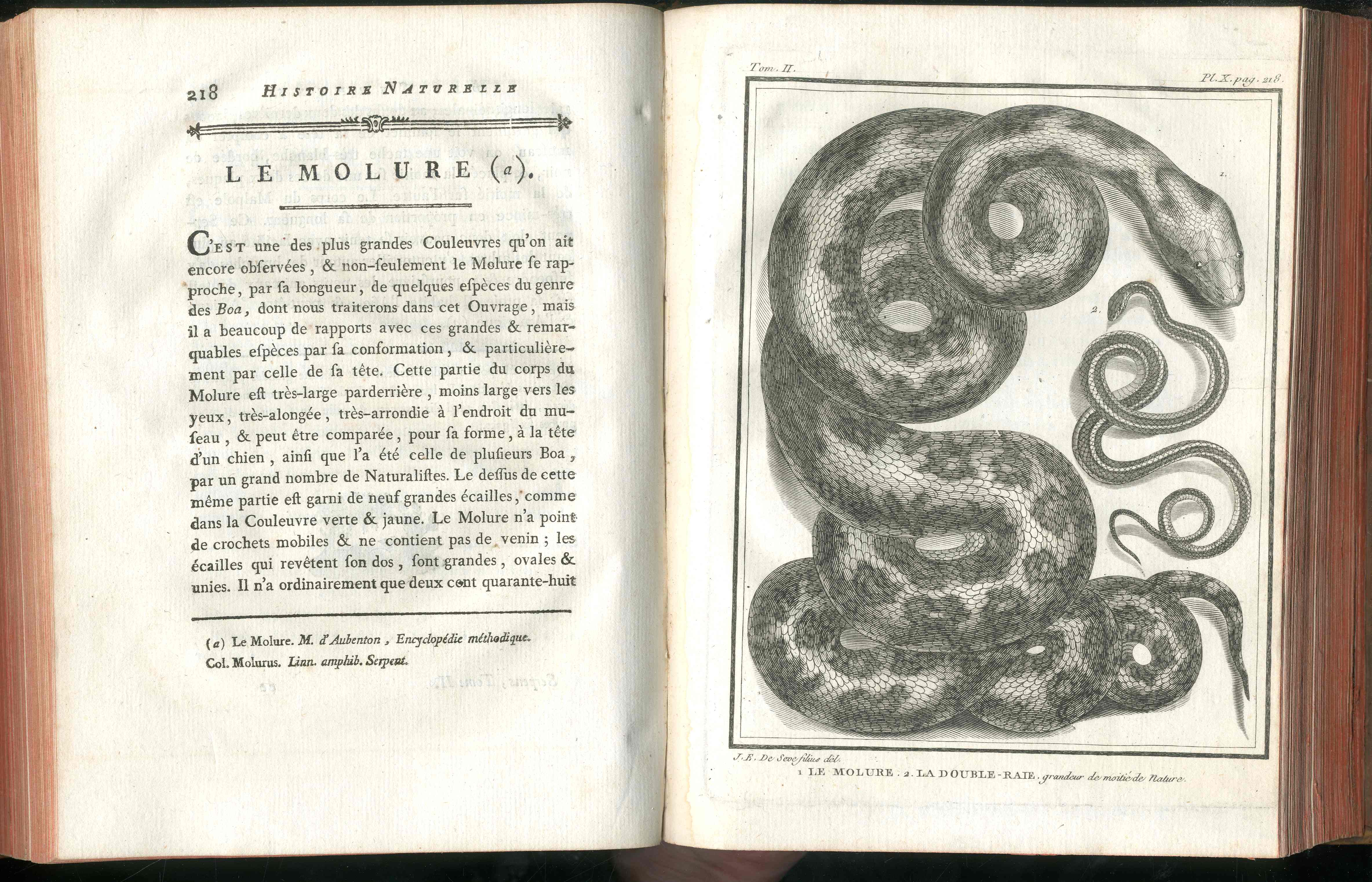 Histoire Naturelle Des Serpens Conte De La Cepede, Cobra,Vipers, Fer de Lance Snakes