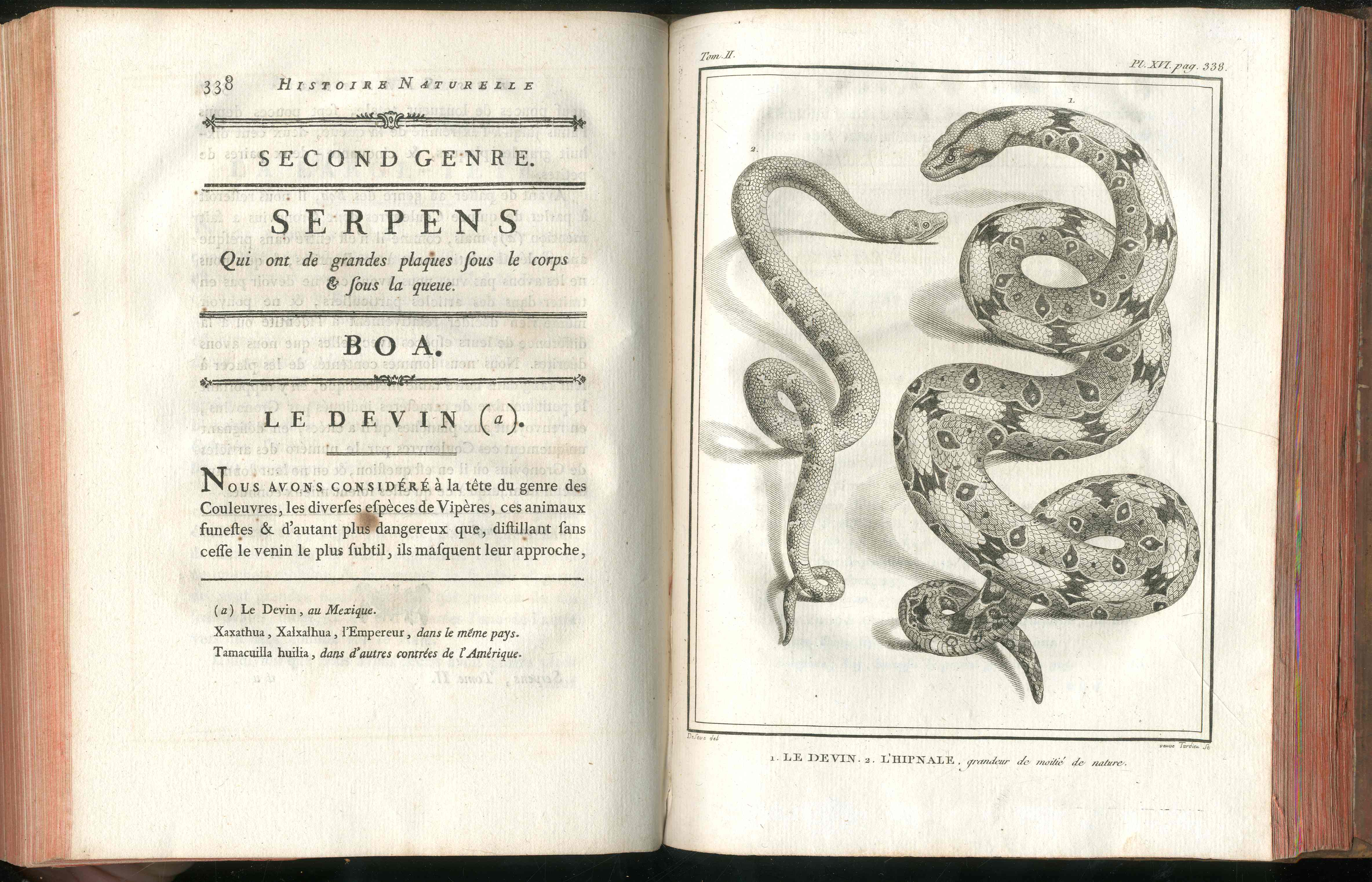 Histoire Naturelle Des Serpens Conte De La Cepede, Cobra,Vipers, Fer de Lance Snakes