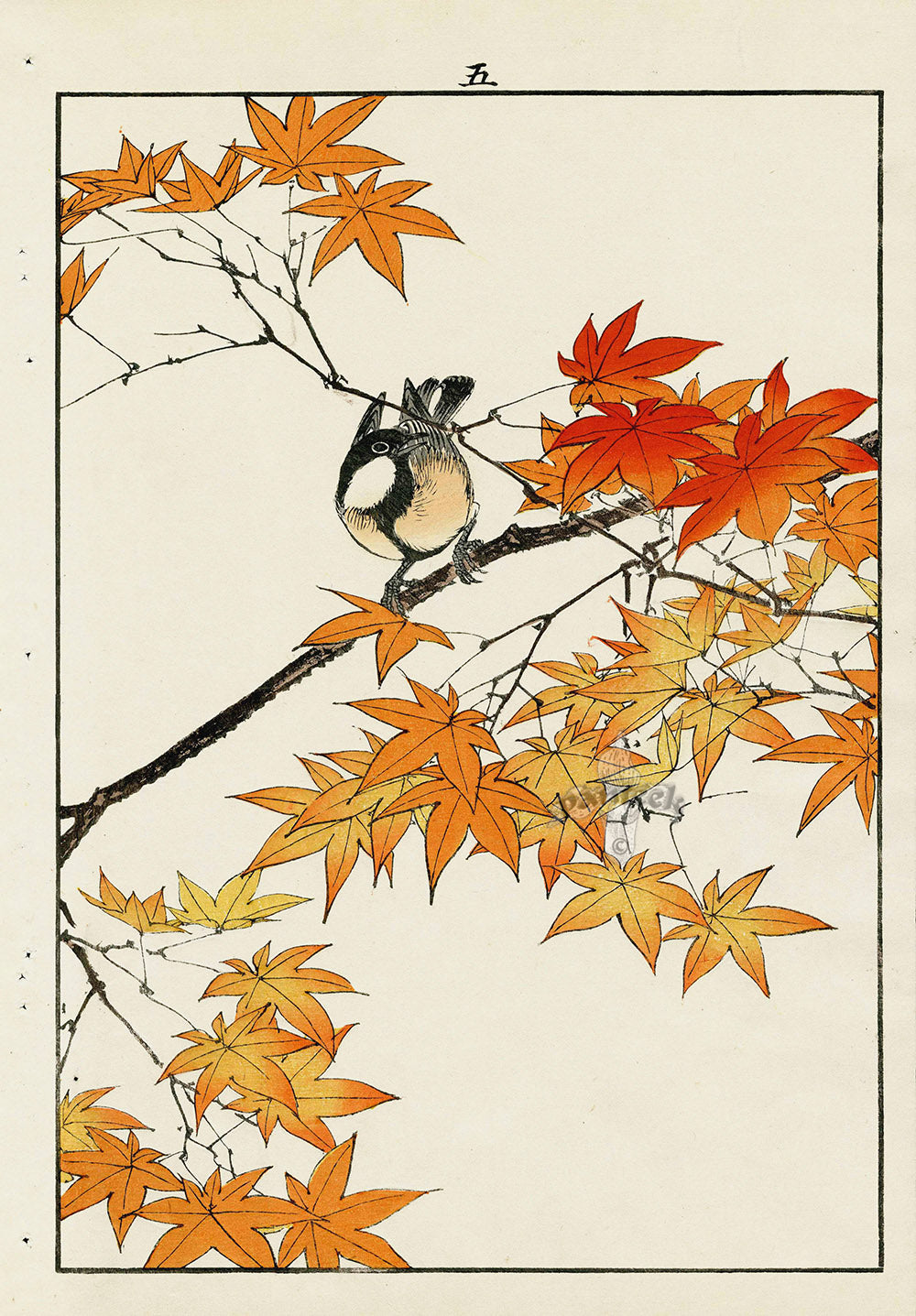 Keinen Imao Bird and Flower Albums Perching Bird, Orange Maple