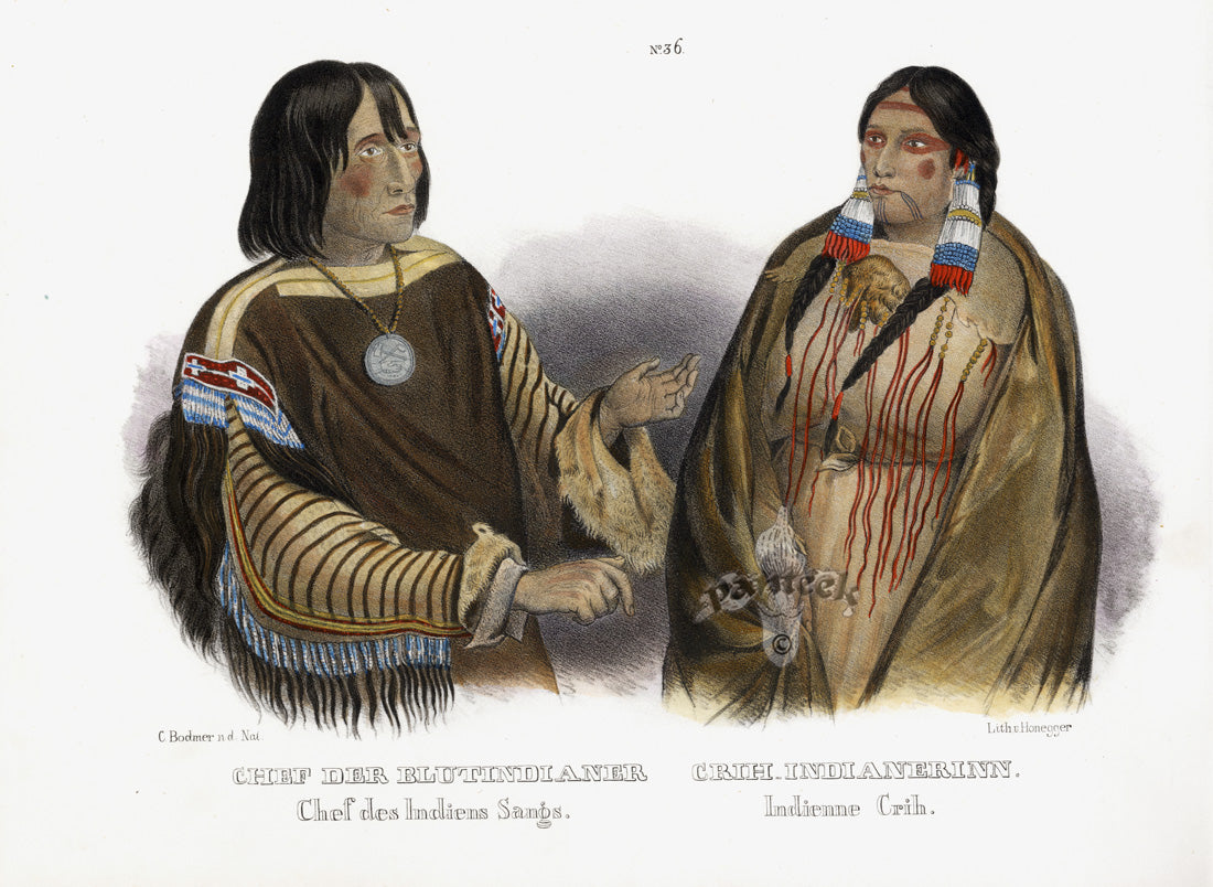 Bodmer Indigenous Peoples of the World Antique Print 1845 Blood & Cree