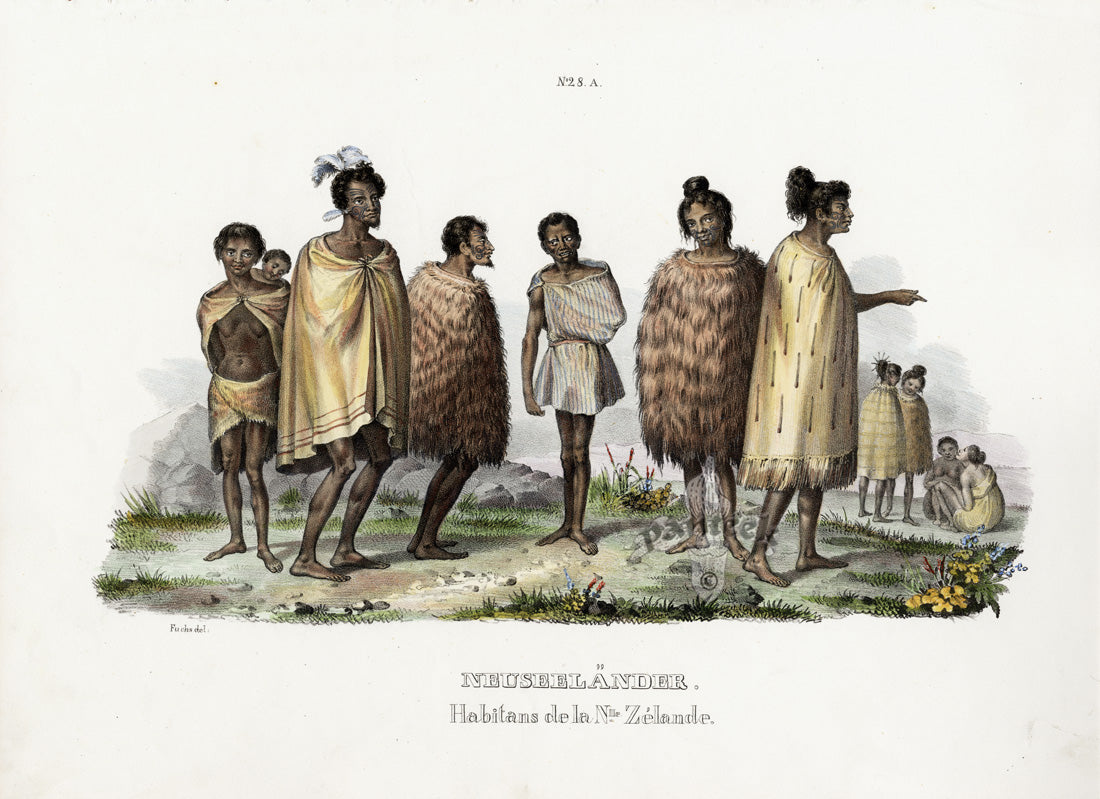 Bodmer Indigenous Peoples of the World Antique Print 1845 Maori