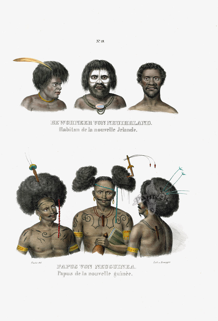 Bodmer Indigenous Peoples of the World Antique Print 1845 New Guinea