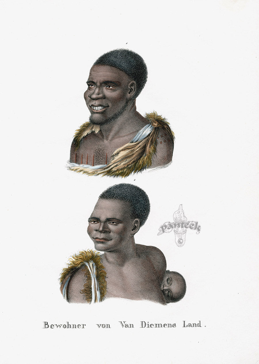 Bodmer Indigenous Peoples of the World Antique Print 1845 Tasmanians