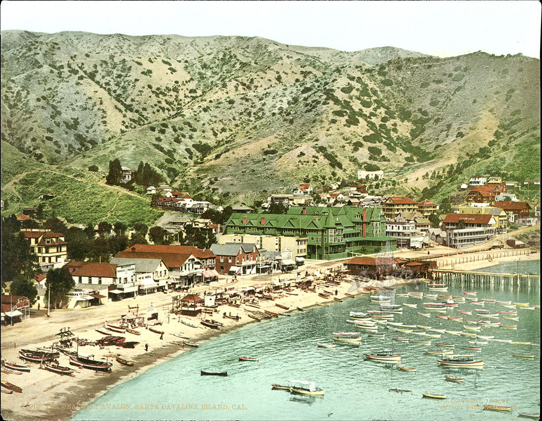 Detroit Photographic Co Prints 1898 Avalon Beach, Catalina Island