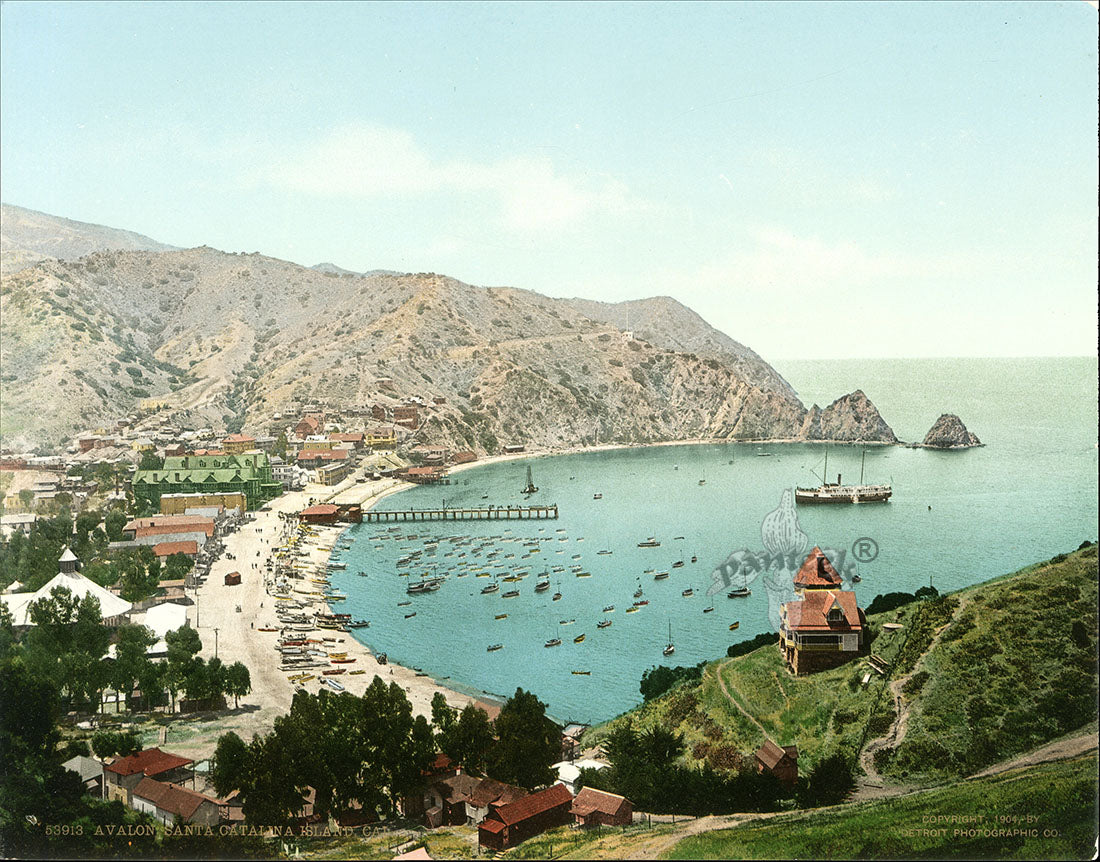 Detroit Photographic Co Prints 1898 Avalon, Catalina Is. CA