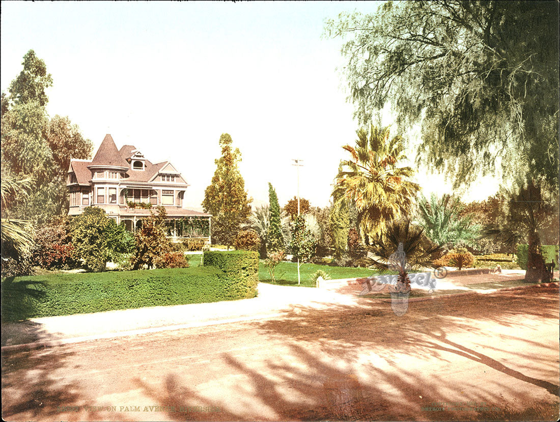 Detroit Photographic Co Prints 1898 Palm Avenue, Riverside