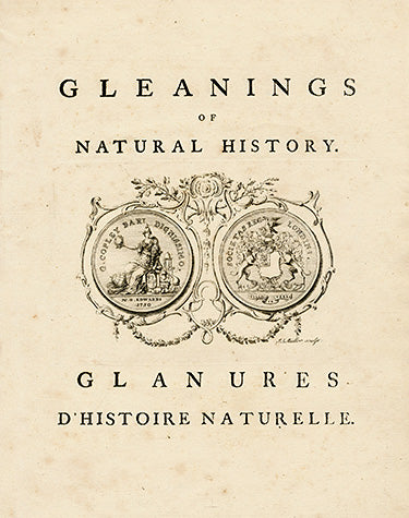 George Edwards Bird Print Title Page EDB5