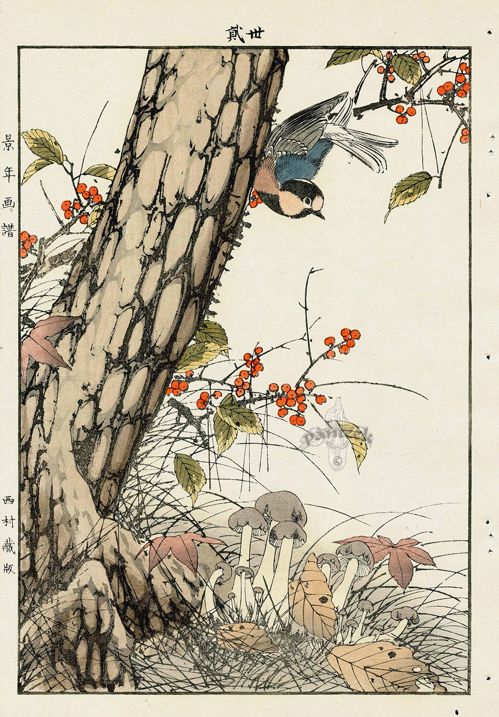 Keinen Imao Bird and Flower Albums Creeper, Pine, Mushrooms, Blue Bird