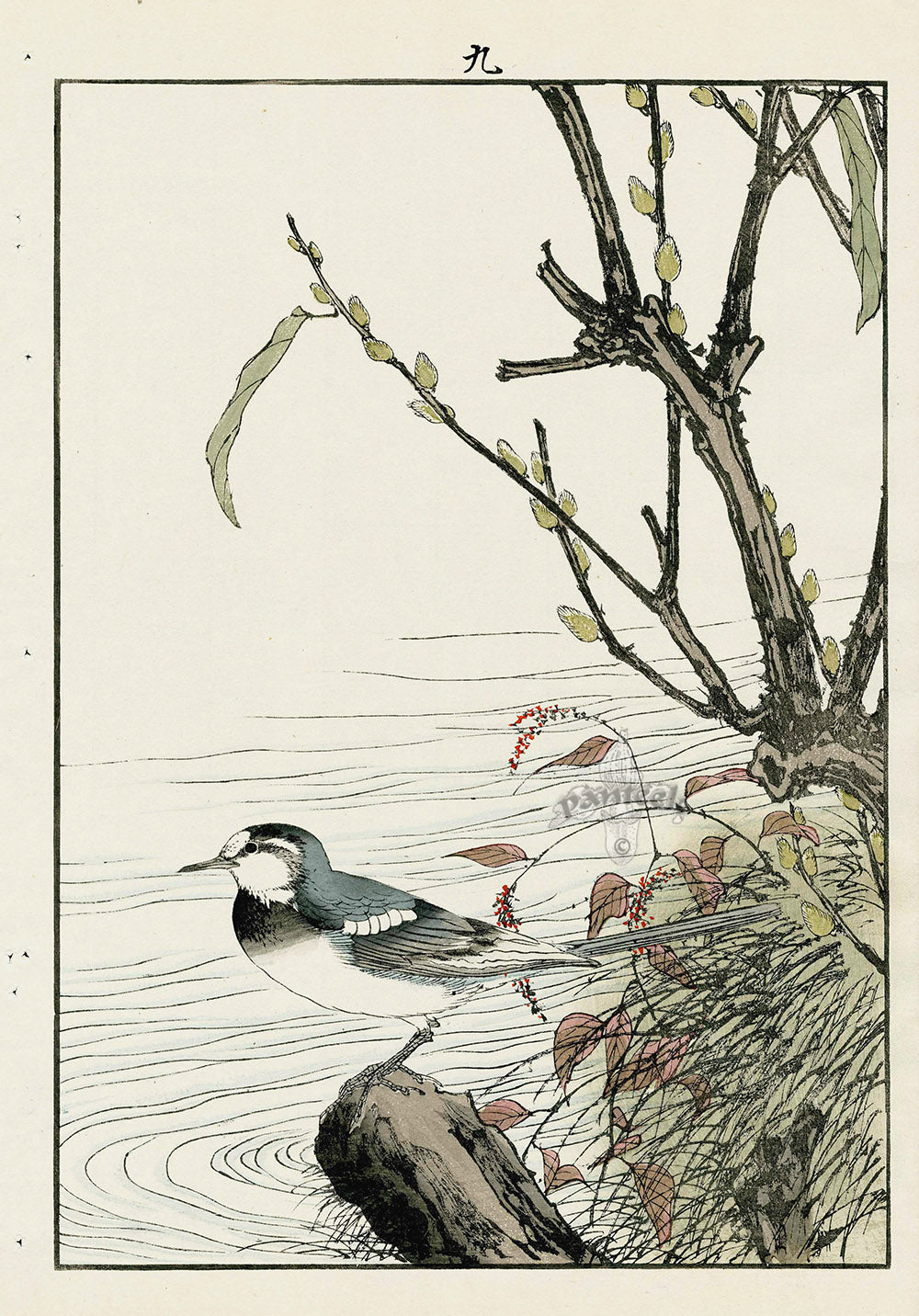 Keinen Imao Bird and Flower Albums Pussy Willow, Pied Wagtail