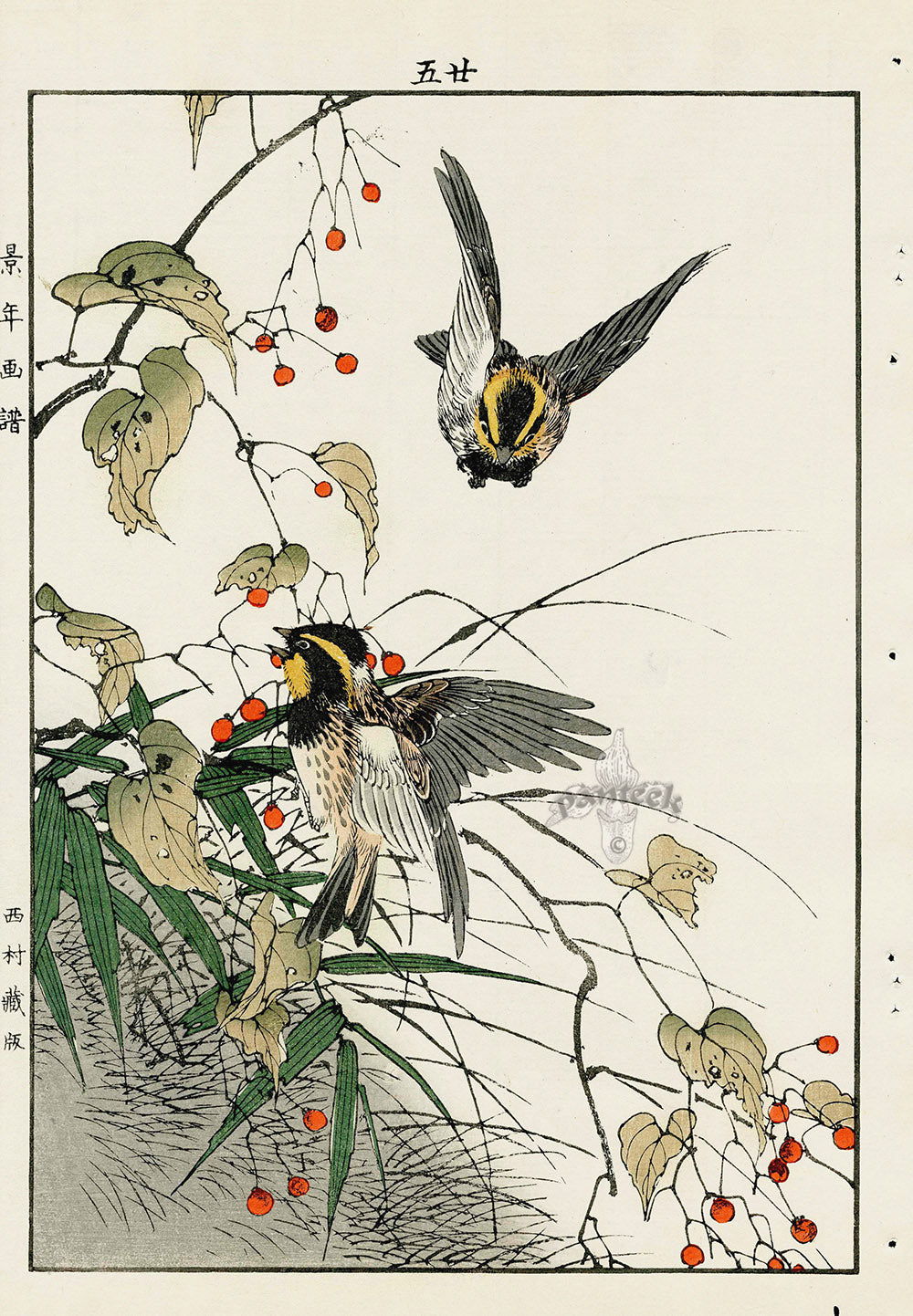 Keinen Imao Bird and Flower Albums Yellow Throated Bunting, Bamboo