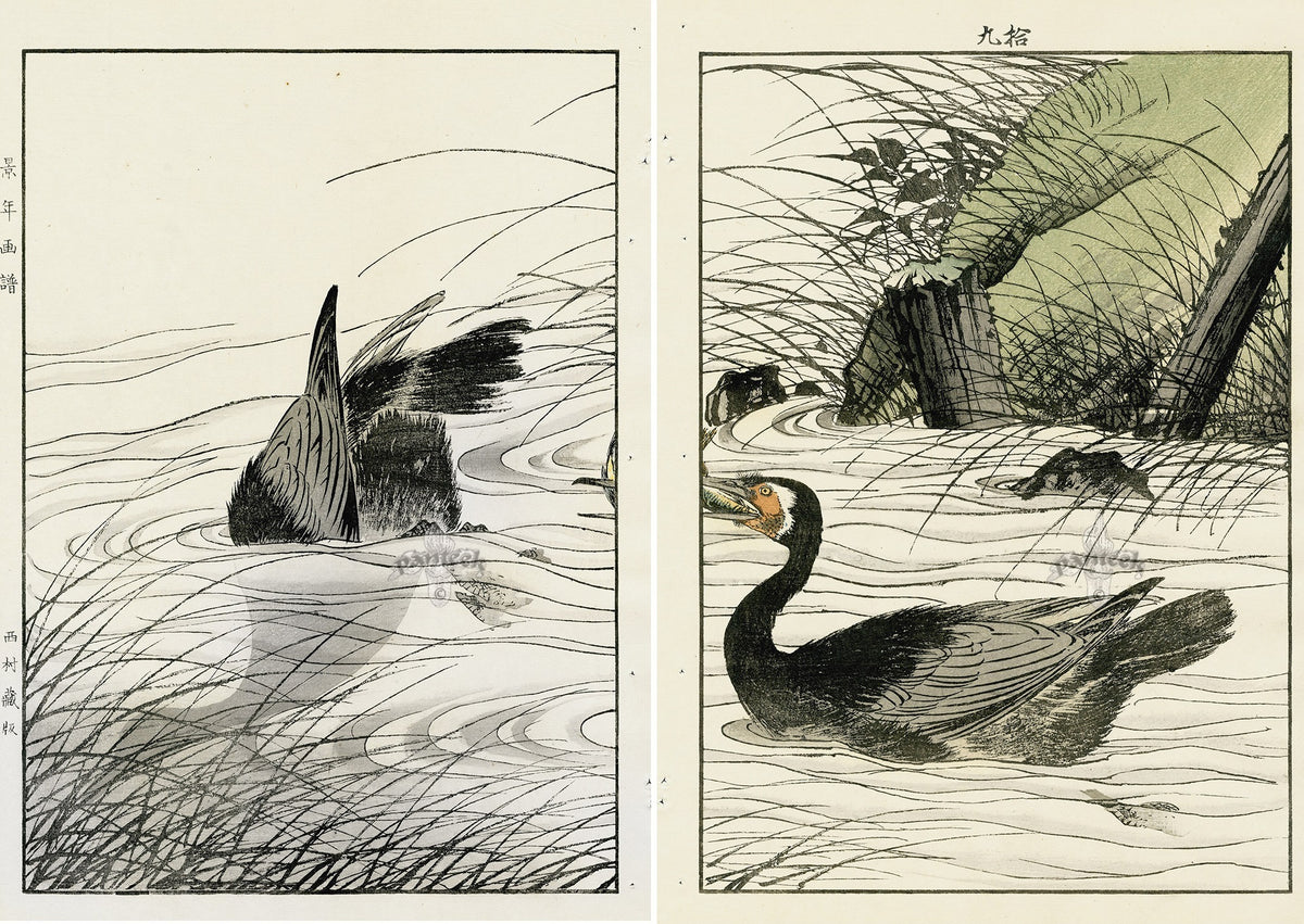 Keinen Imao Birds Comorant 2 prints