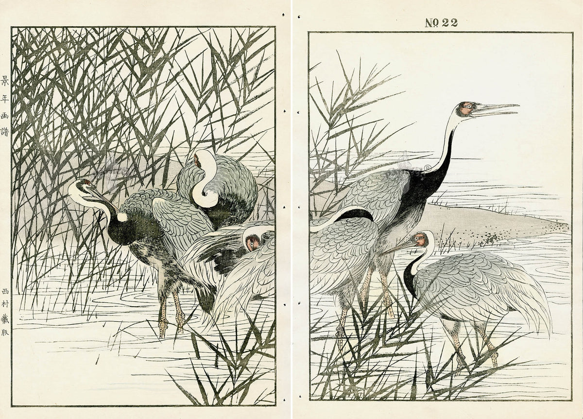 Keinen Imao Birds Manazuru Hooded Crane 2 prints