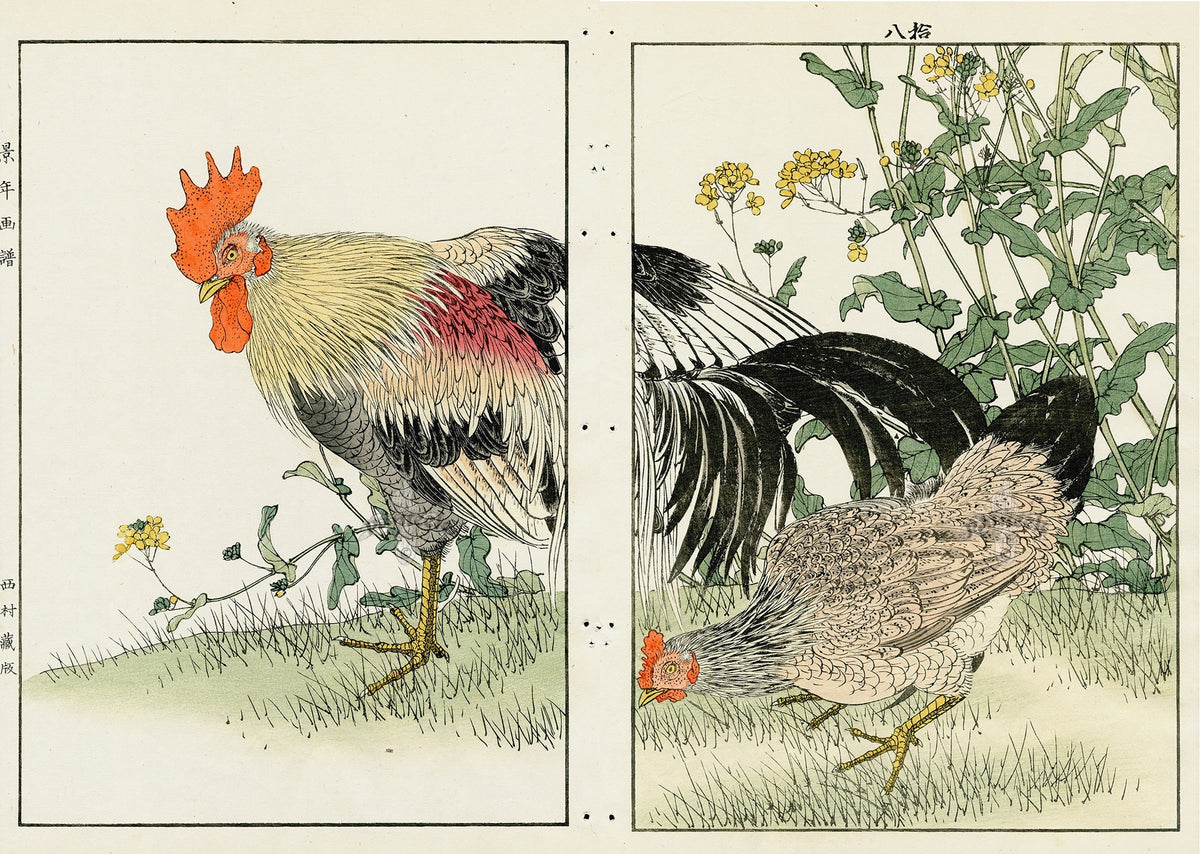 Keinen Imao Birds Niwatori Rooster and chick 2 prints