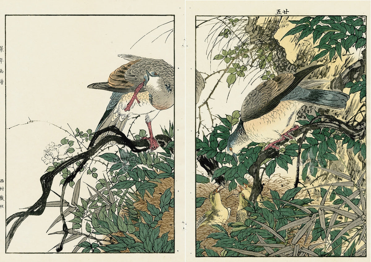Keinen Imao Birds Roses, Nest Spring 2 prints
