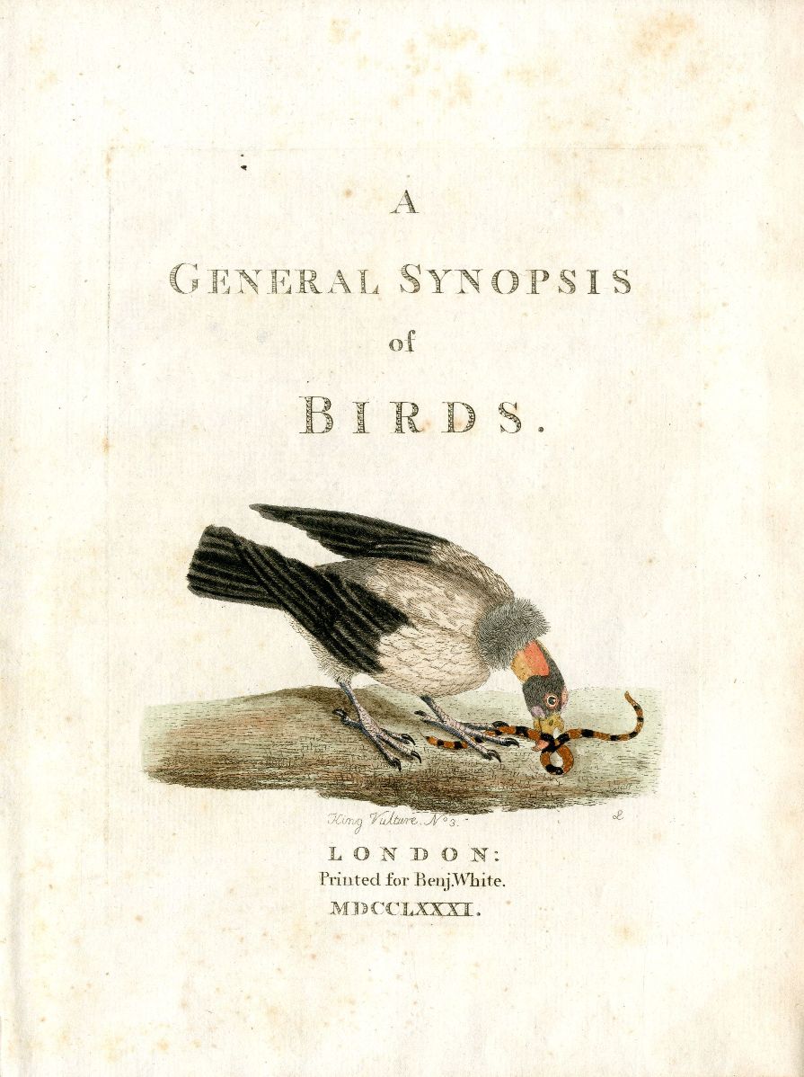 Latham Synopsis Birds 1781 Title Page Vol. 1 Vulture