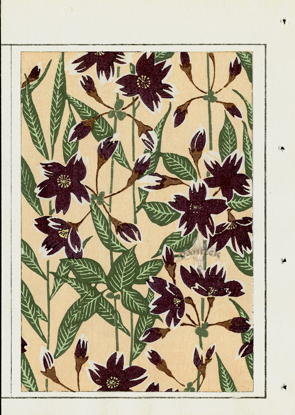 Shin-Bijutsukai Magazine Brown, Green, White Flowers on Beige Design
