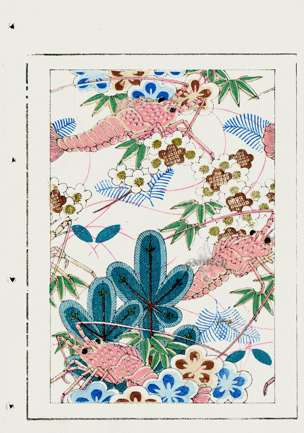 Shin-Bijutsukai Magazine Lobsters Design