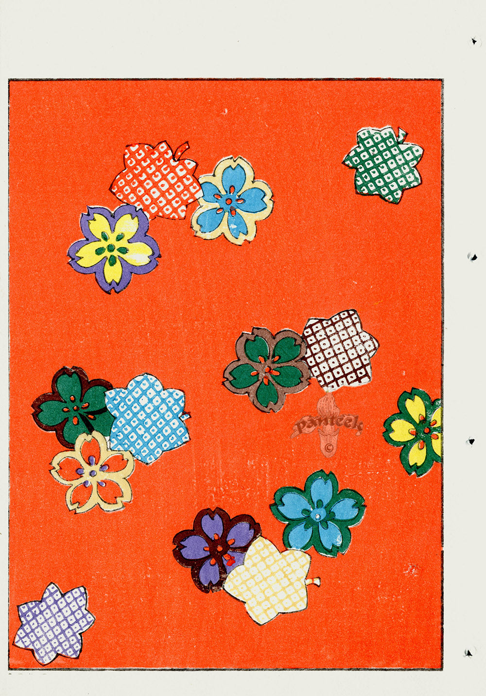 Shin-Bijutsukai Magazine Multicolor Floral Red