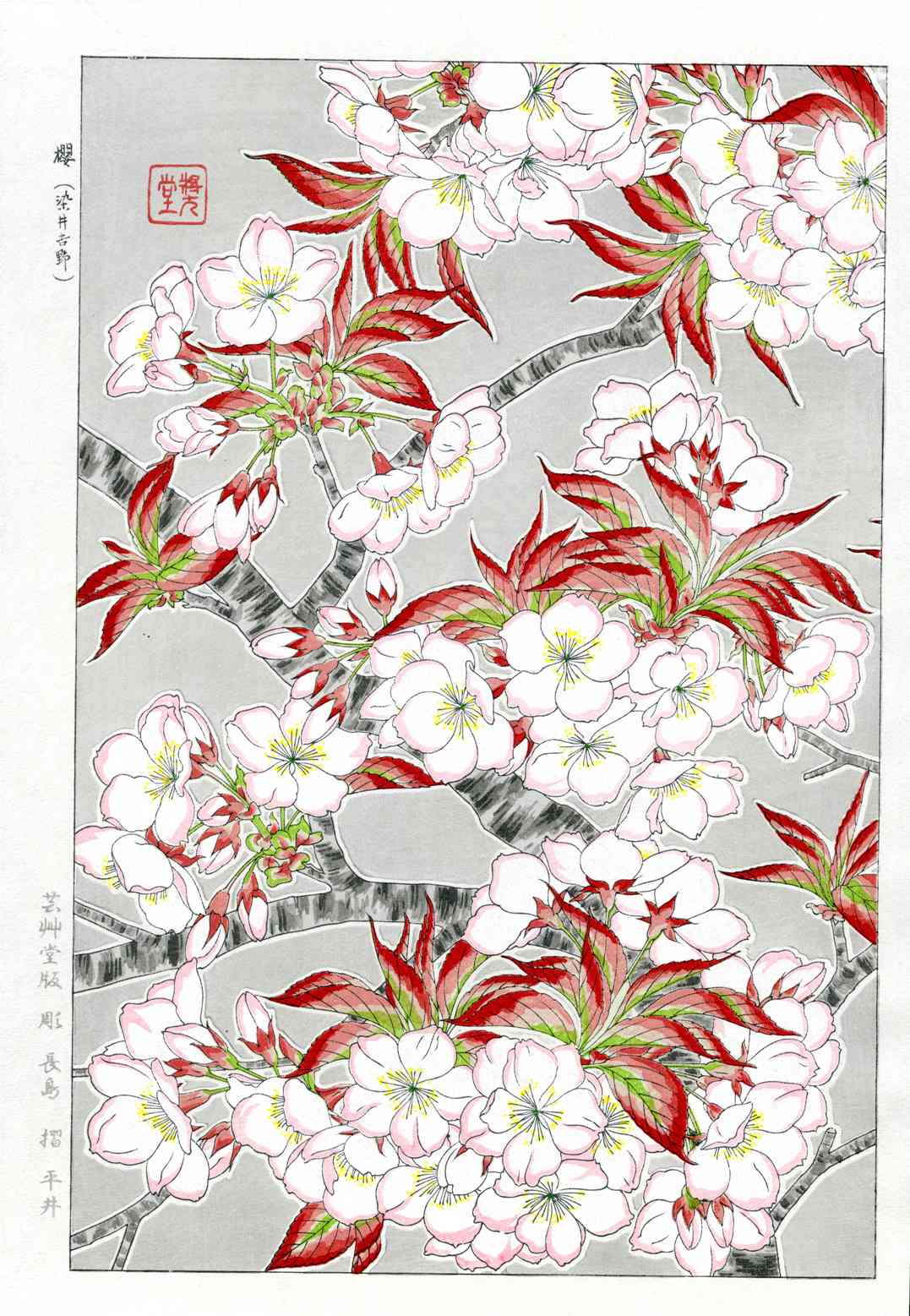 Shodo Kawarazaki Cherry Blossoms White, Pink