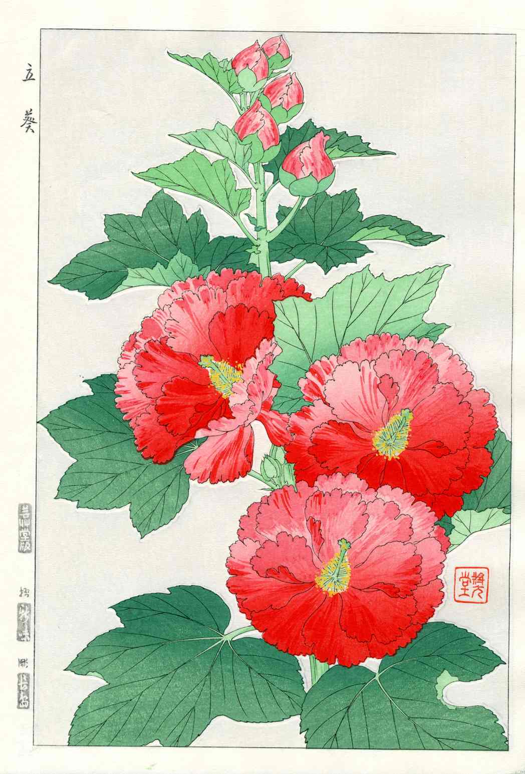 Shodo Kawarazaki Hollyhock Red