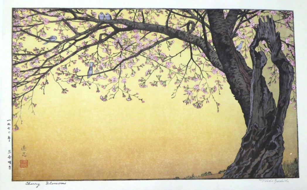 Toshi Yoshida Cherry Blossoms Japanese Print Large Folio