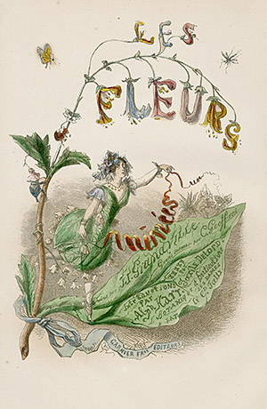 Grandville Fleurs Animees Prints 1867