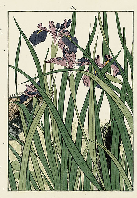 1891 Keinen Imao Woodblock 1st Edition Birds & Flowers Japan