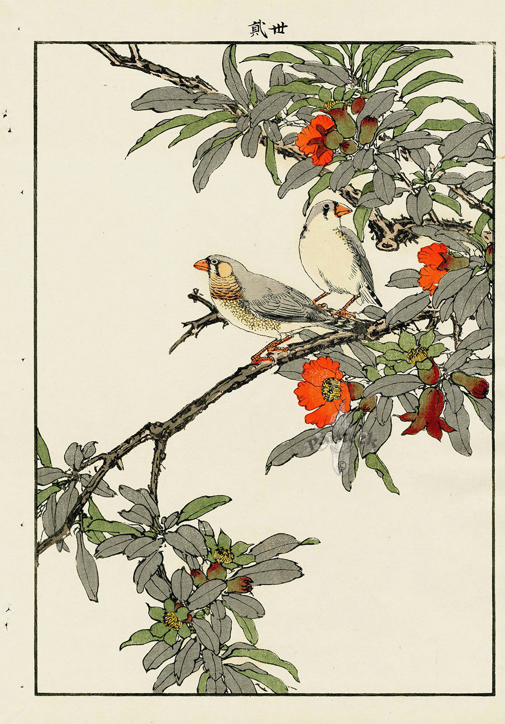 Finch, Blossoms from Imao Keinen Kacho original Japanese
