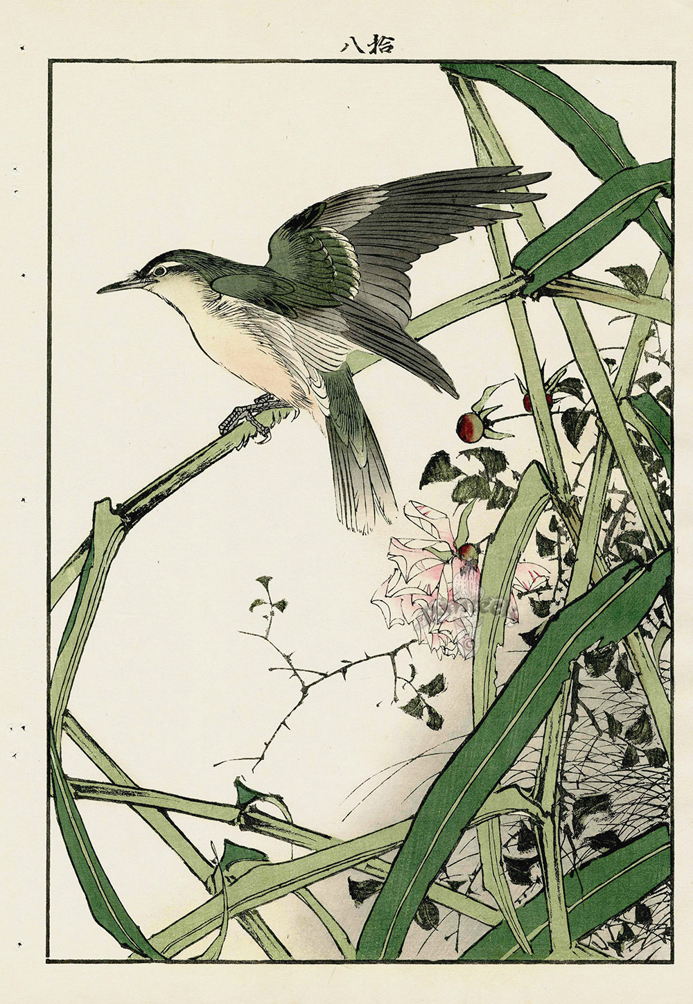 絵画 bird Reed Warbler, Rose from 1891 Keinen Imao Woodblock 1st