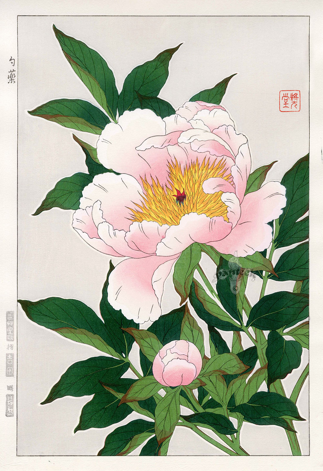 botanical print curtains vorhnge sazou lebensart botanical print curtains vorhnge sazou lebensart
