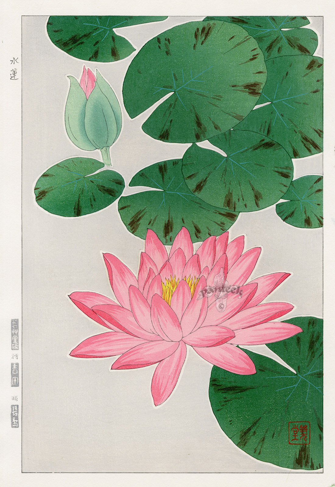 Asian #12 nature WATER LILY Scene unmounted rubber stamp Japanese pond 