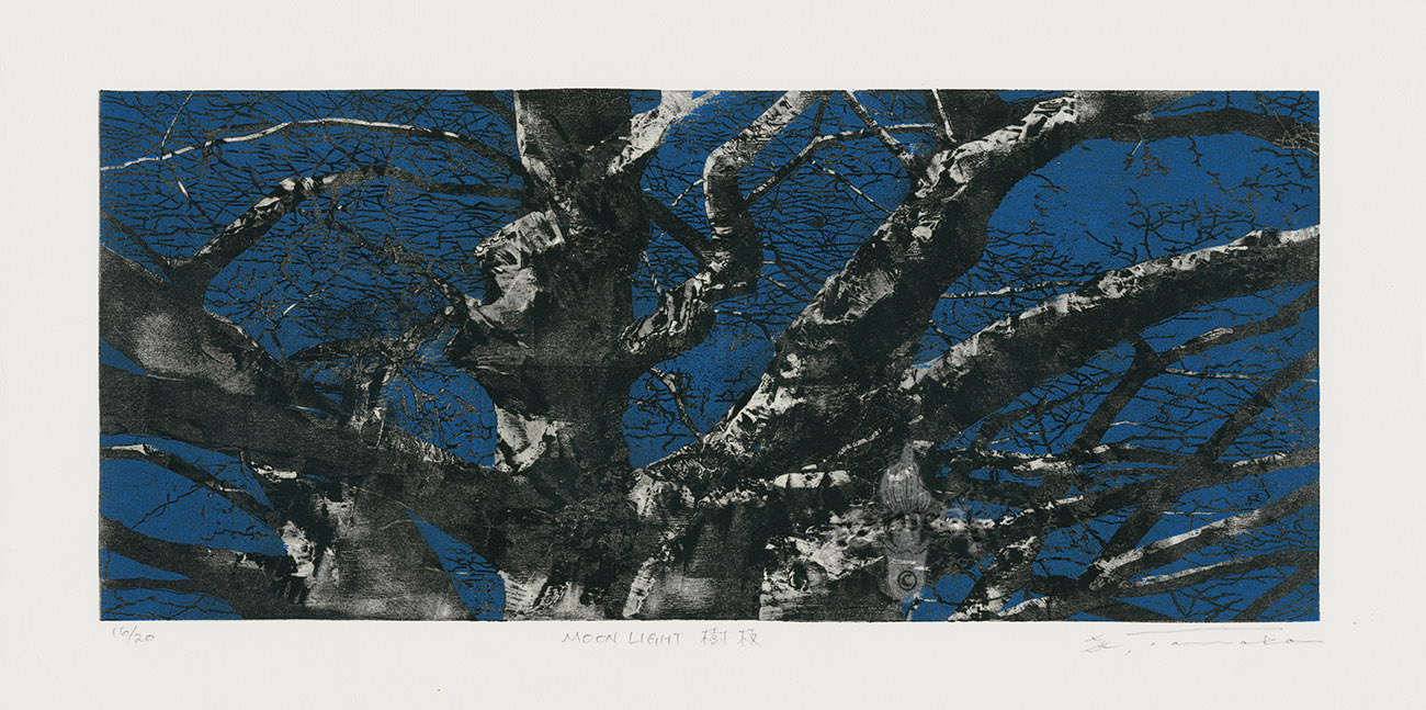 Moonlight Tree Branch 22 1/4 inches by 11 1/4 from Yoshikazu Tanaka