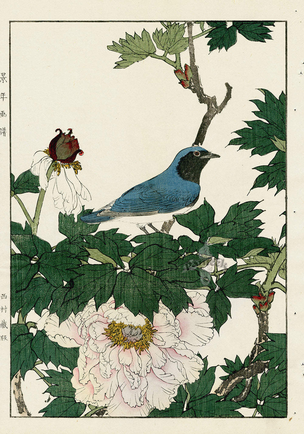 Keinen Imao Birds & Flowers Set of 2