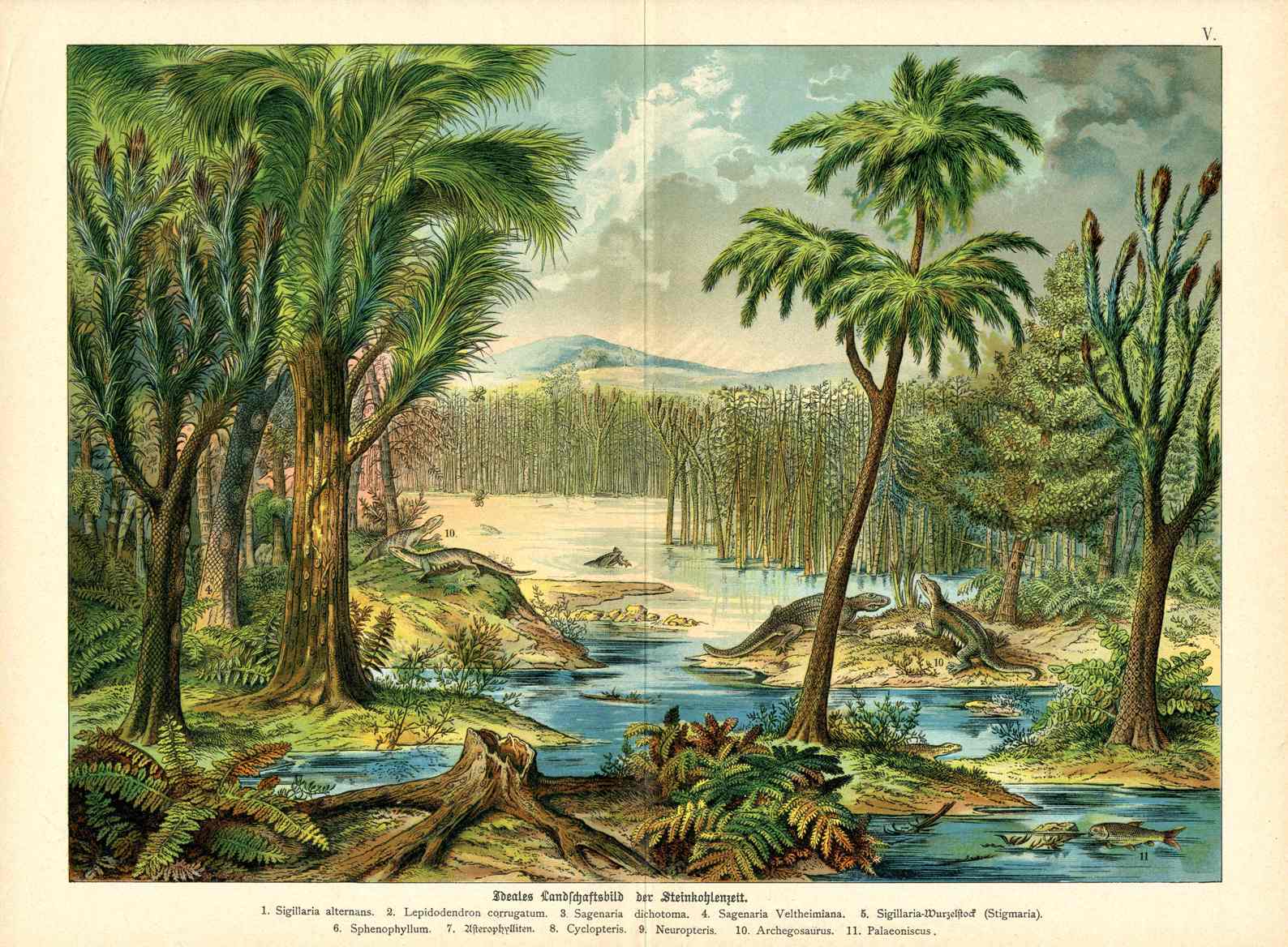 Schubert Animal Kingdom Antique Chromolithographs 1889