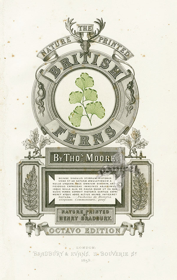 Nature-Printed Ferns by Henry Bradbury 1859