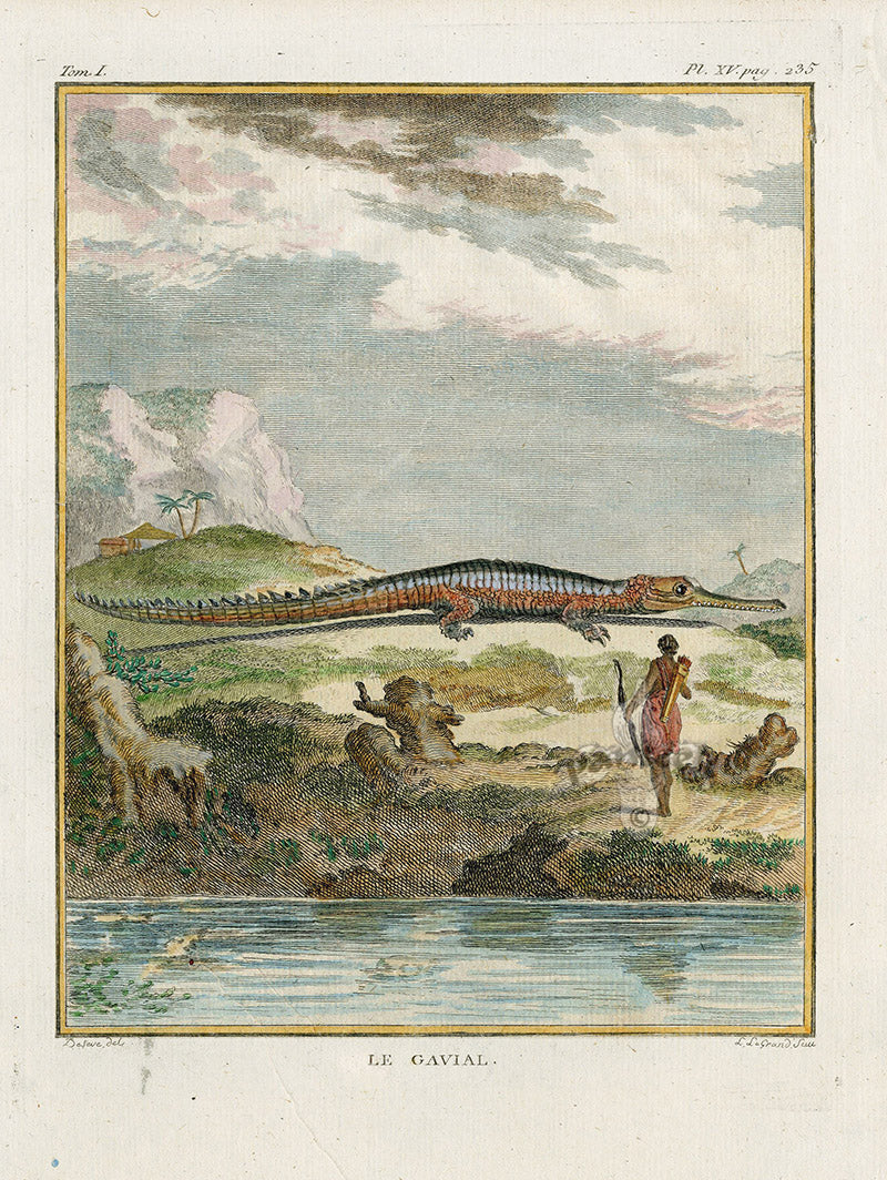 Buffon Histoire Naturelle Reptile Prints 1766