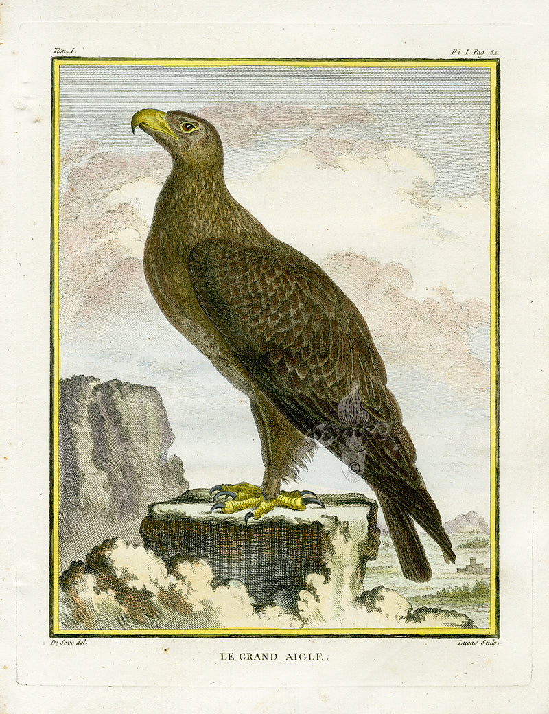 Buffon Histoire Naturelle 1766 Original Bird Prints