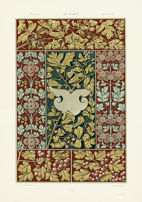 Anton Seder Die Pflanze Art Nouveau Prints 1890