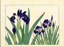 Four Seasons of Flowers 1907 Woodblock Blue Iris Tomioka Tessai
